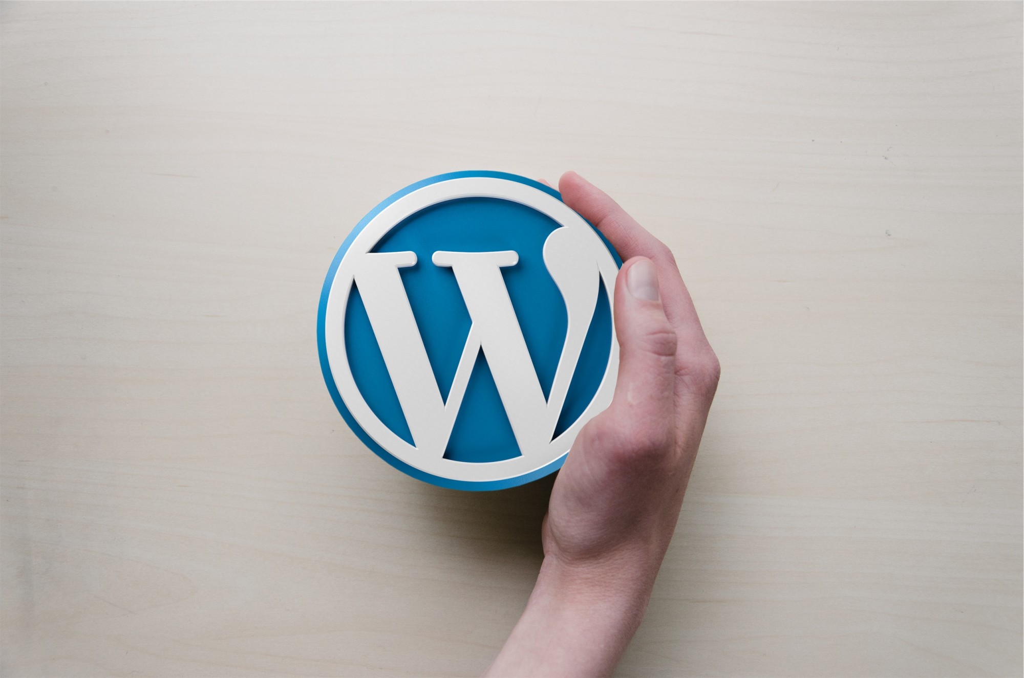 wordpress logo with hand